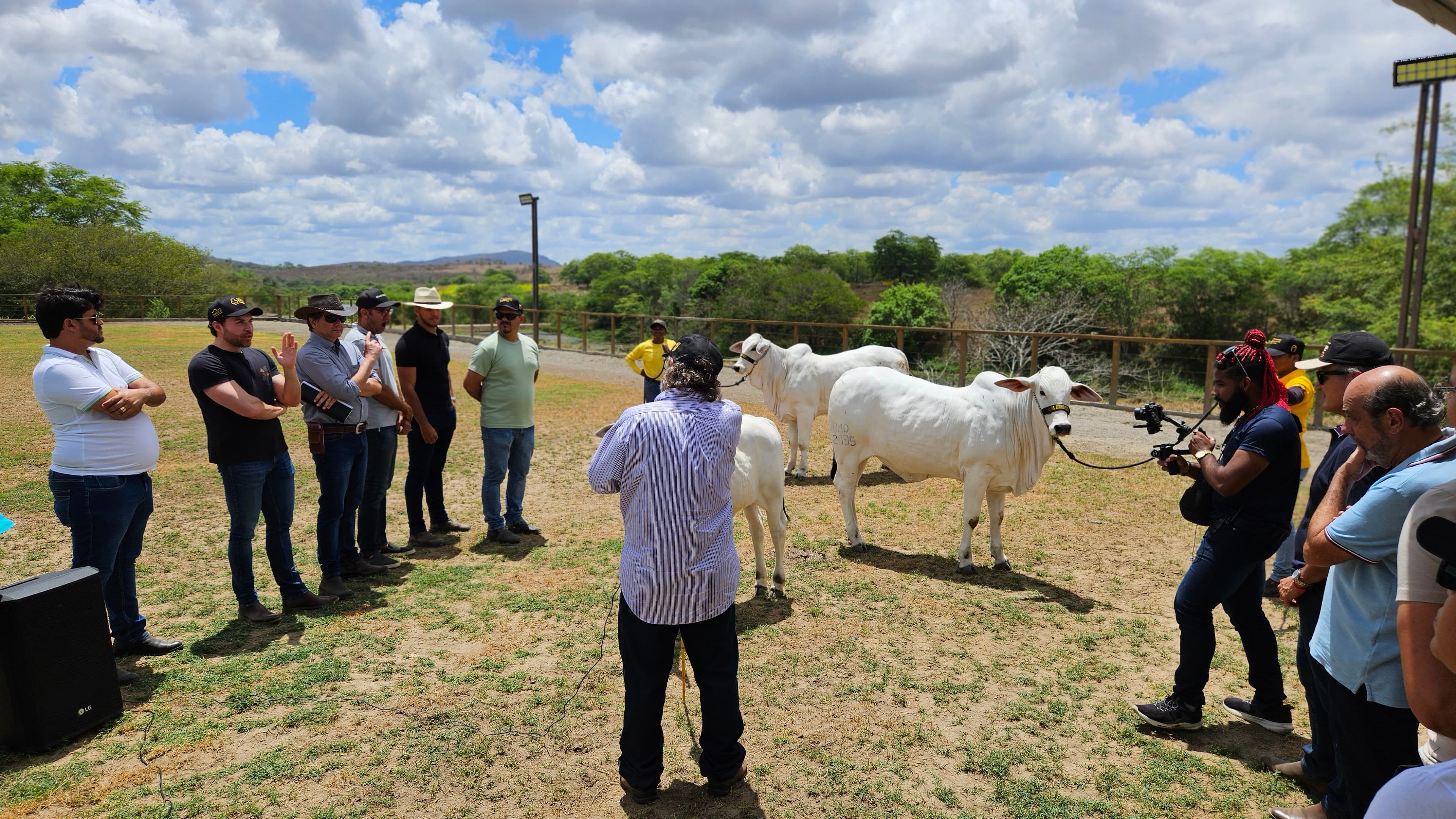 Galeria Carlos Marino
