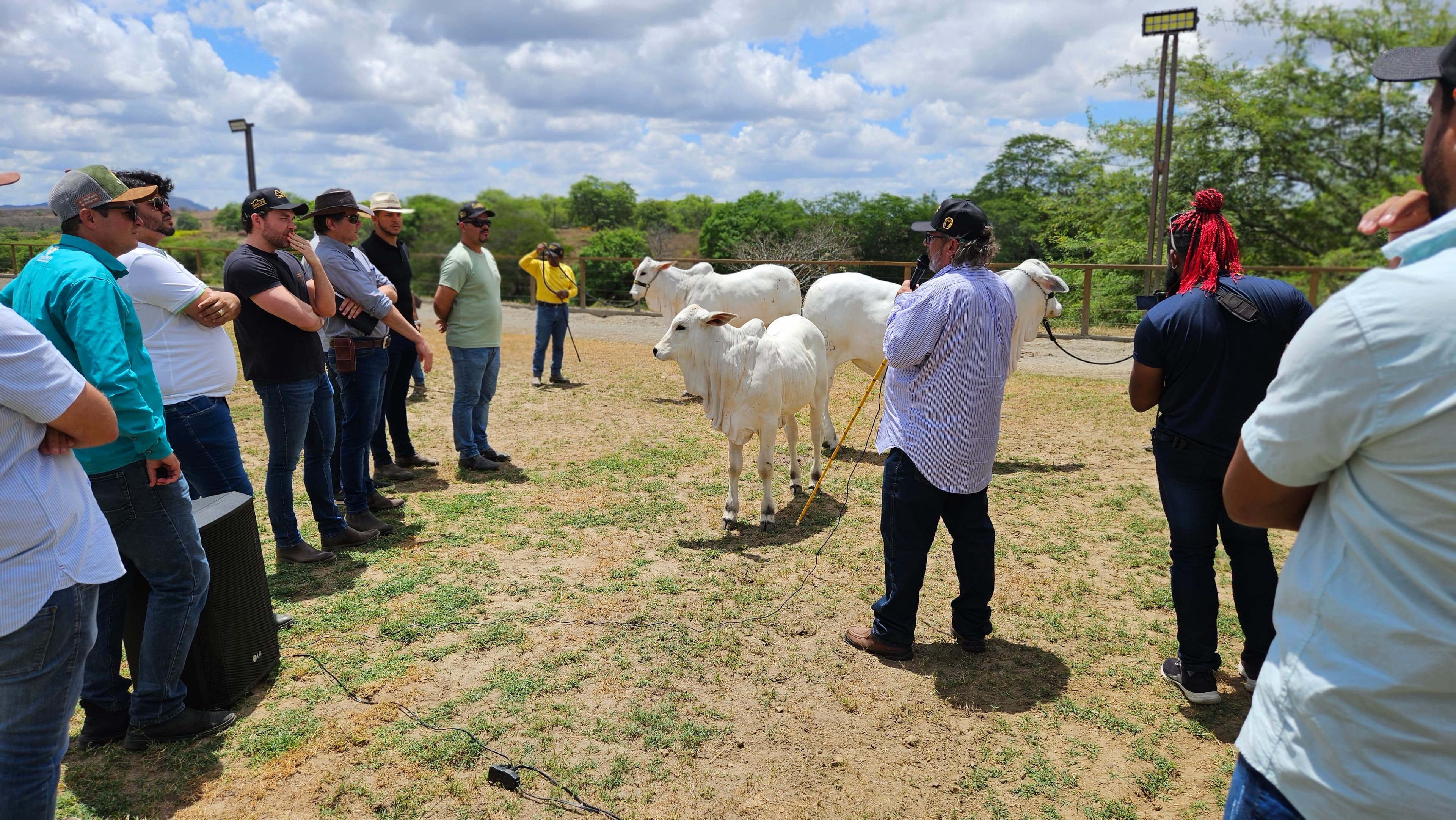 Galeria Carlos Marino